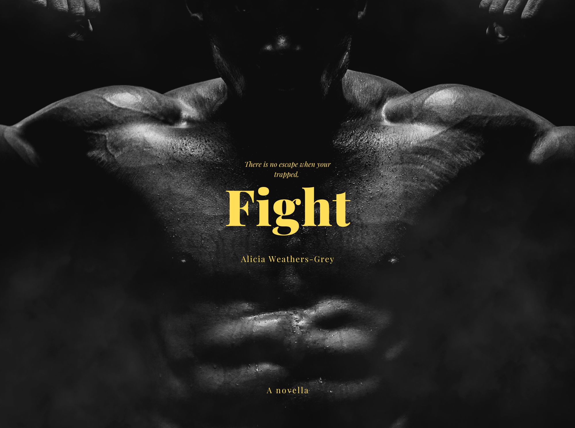 Book Cover/ Promo Image