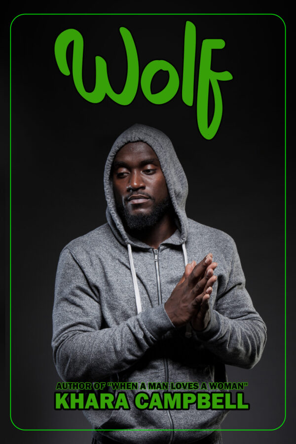 Book Cover/ Promo Image