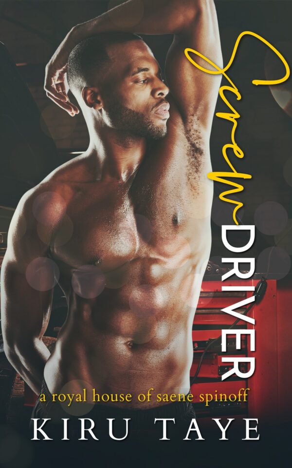 Book Cover/ Promo Image