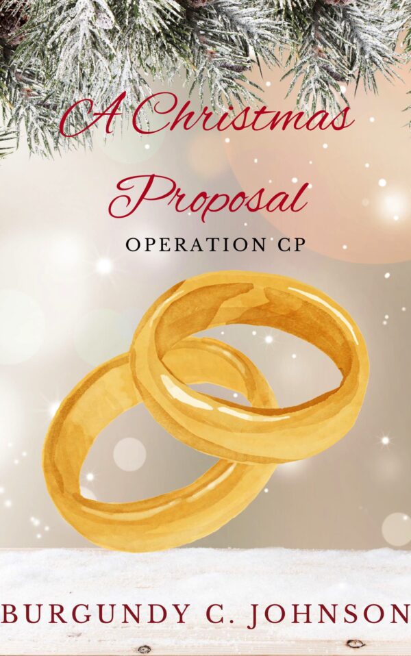 Book Cover/ Promo Image