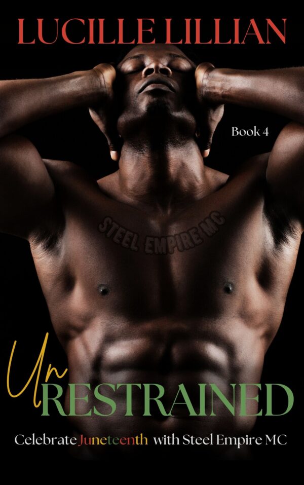 Book Cover/ Promo Image