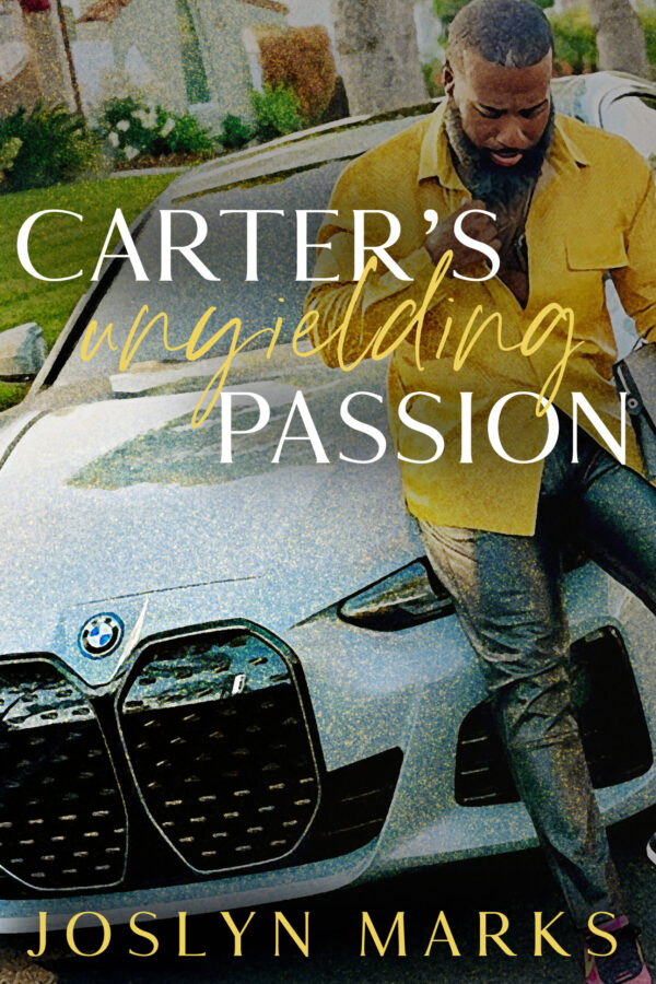 Book Cover/ Promo Image