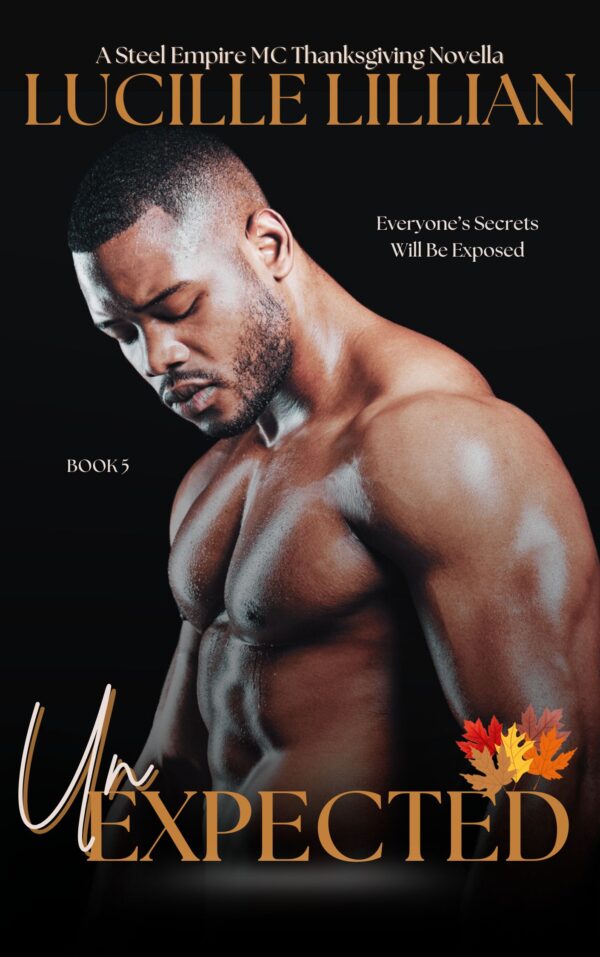 Book Cover/ Promo Image