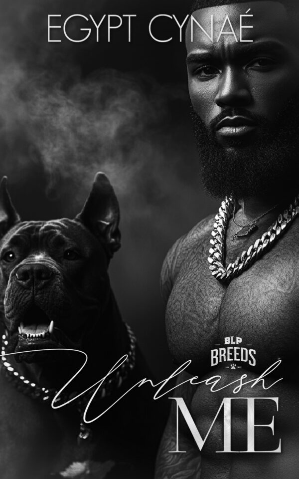 Book Cover/ Promo Image